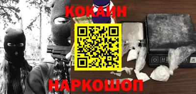 индика Гатчина