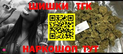 индика Гатчина