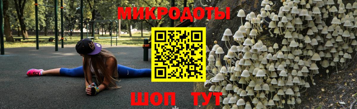 Псилоцибиновые грибы мицелий Владикавказ
